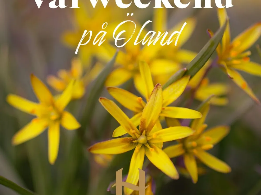 Vårweekendpaket  på Halltorps Gästgiveri