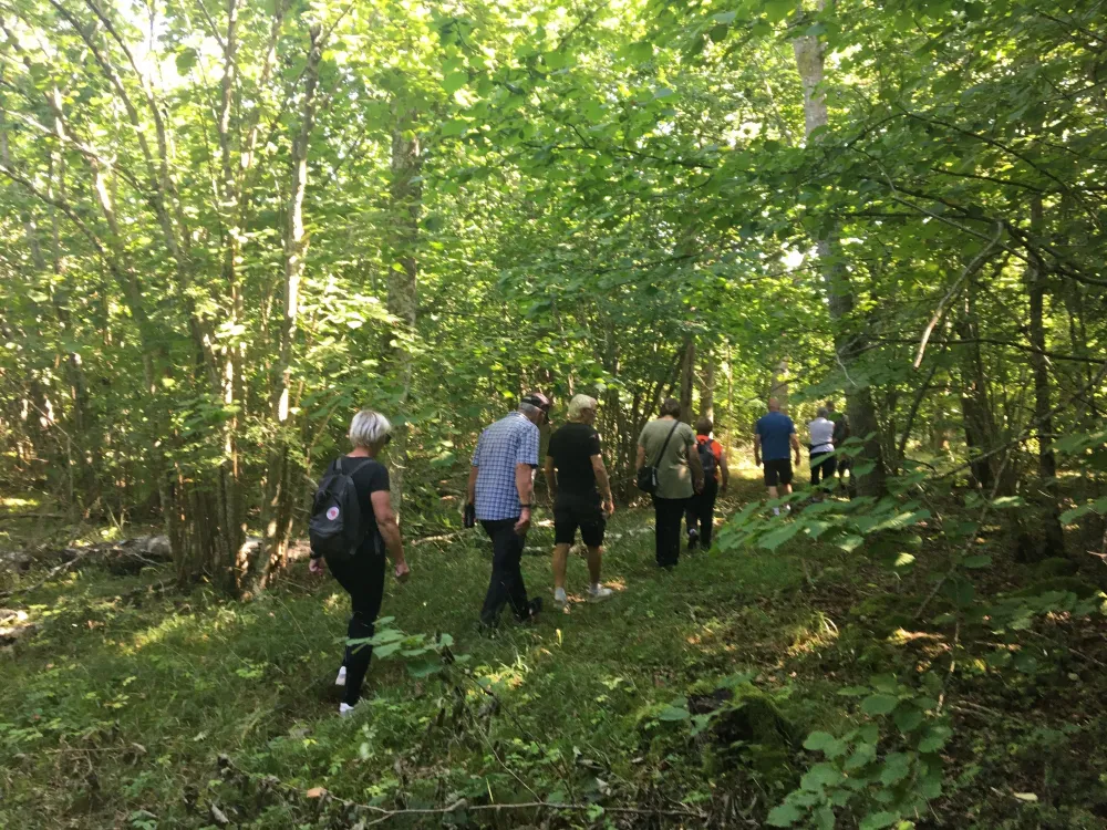 Matvandring i Mittlandet