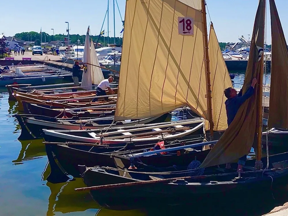 Segling med allmogebåtar