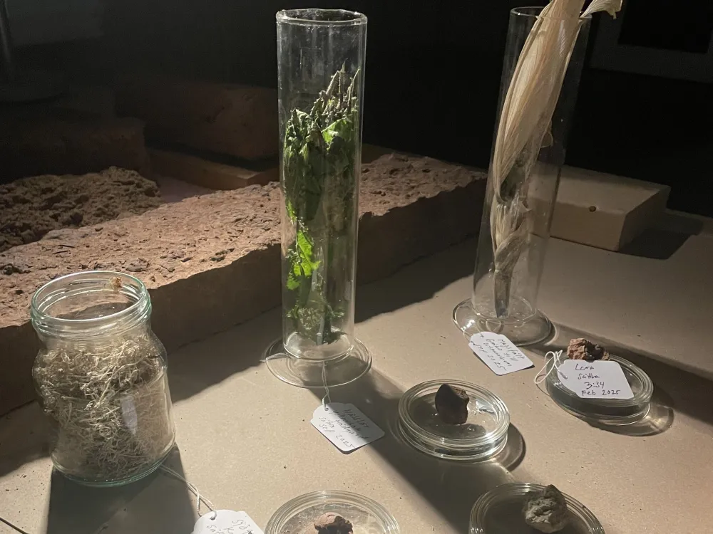  Helle Kvamme / BCCAR på Trädgårdsgatan