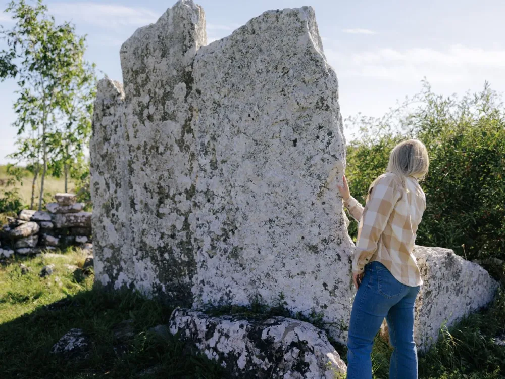 Mittlandsskogen - historiskt arv och makalös artrikedom 