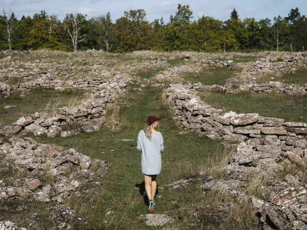 Mittlandsskogen - historiskt arv och makalös artrikedom 