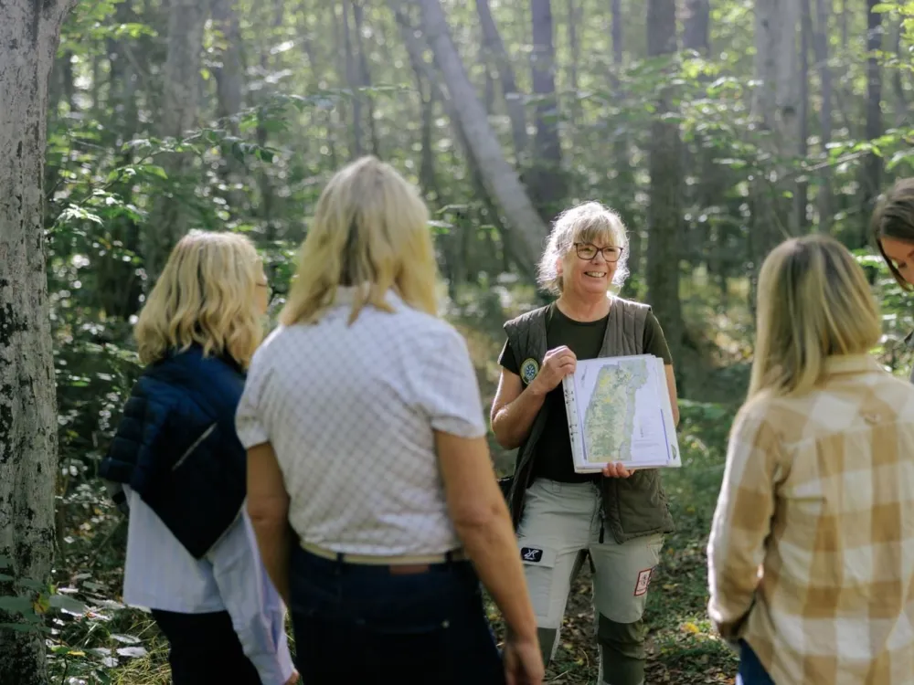 Mittlandsskogen - historiskt arv och makalös artrikedom 