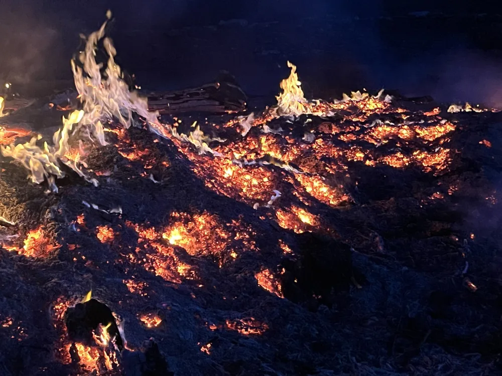 Valborgsmässofirande med fackeltåg