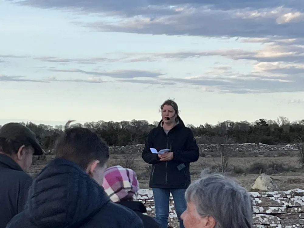 Valborgsmässofirande med fackeltåg