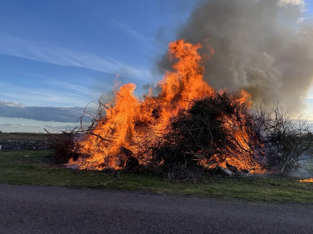 Valborgsmässofirande med fackeltåg
