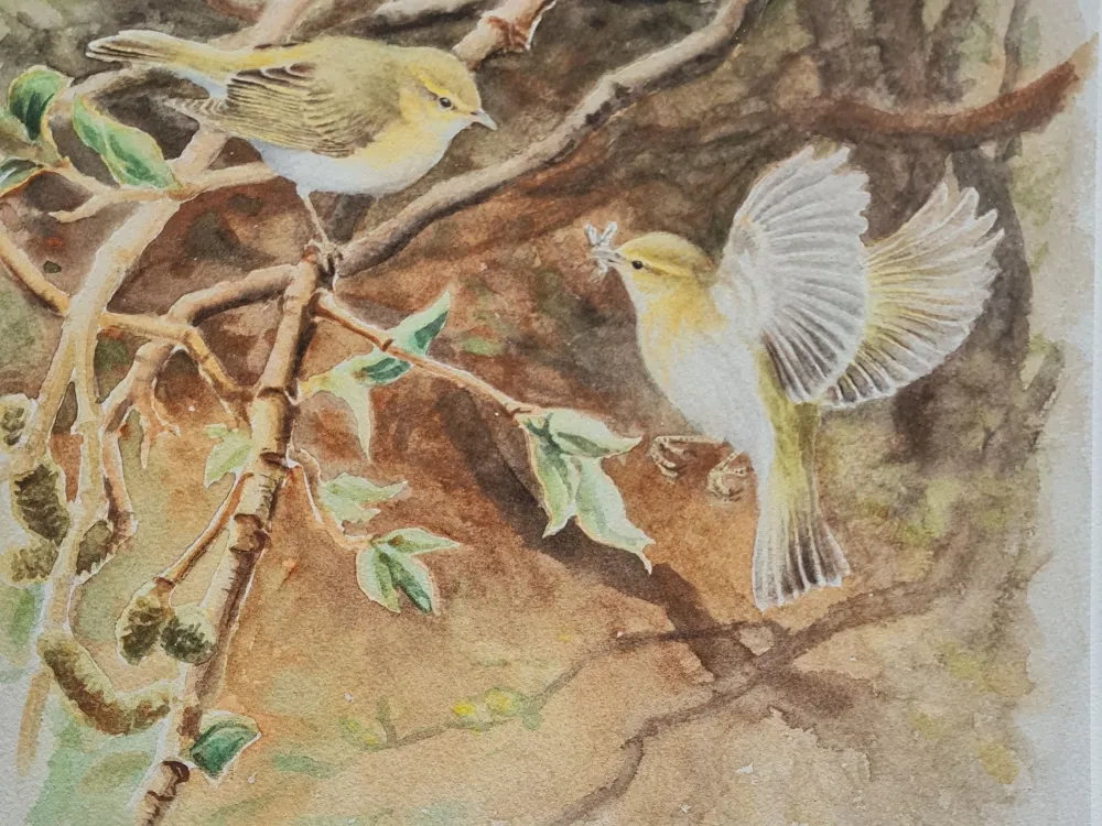 Ateljé Göran Petersson