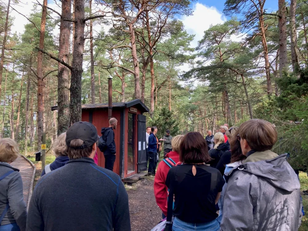 Visite guidée de la forêt des Trolls
