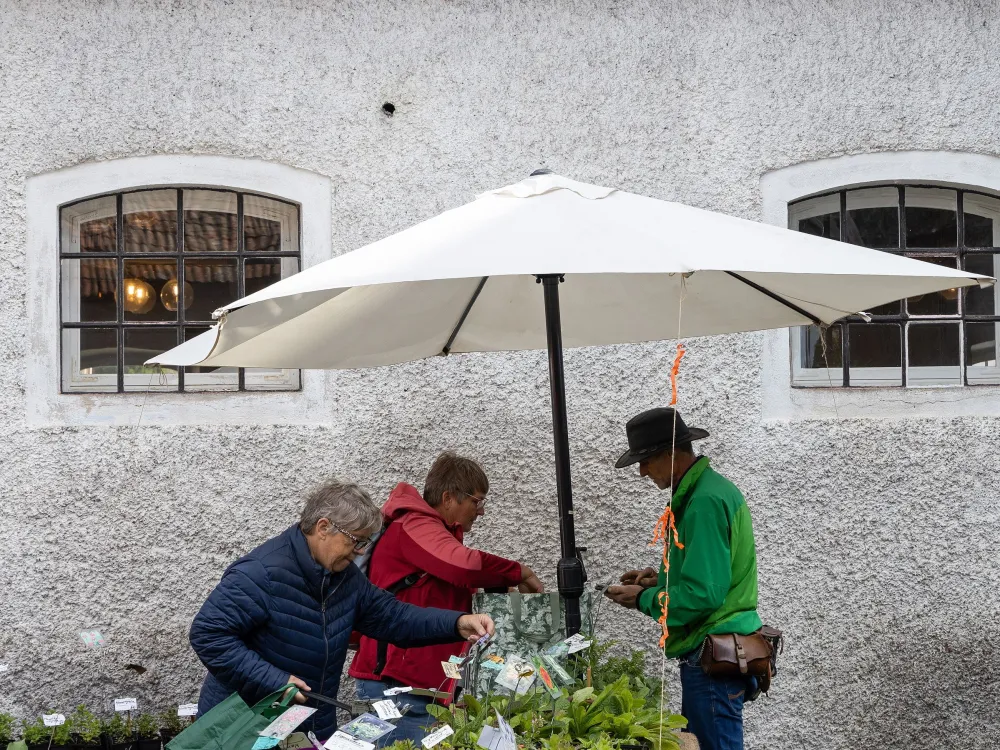 Ölands trädgårdsmässa