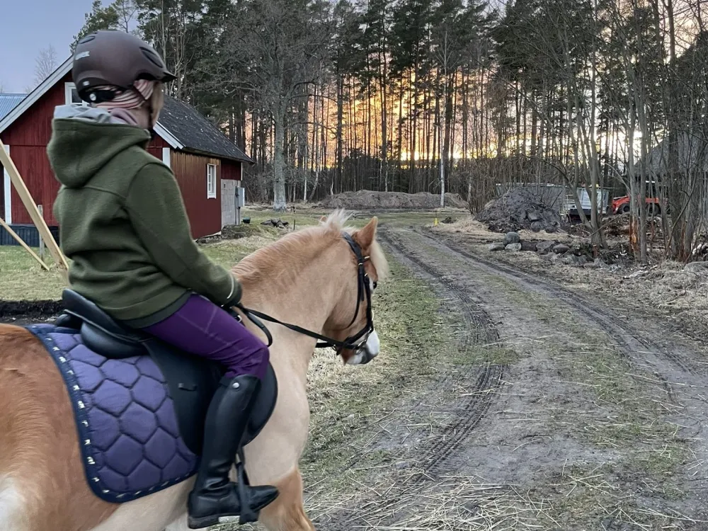 Björkgård på Öland