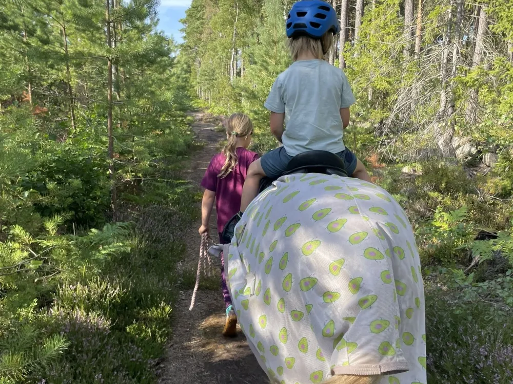Björkgård på Öland
