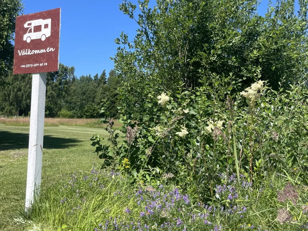 Björkgård på Öland
