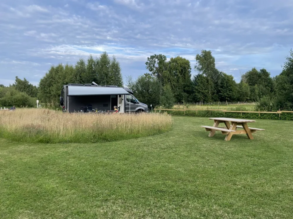 Björkgård på Öland