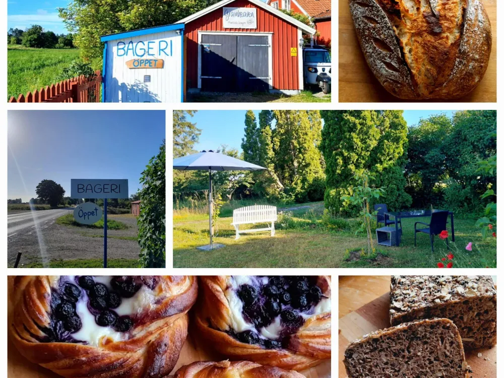 Provsmaking på ost och bröd hos Grainheaven
