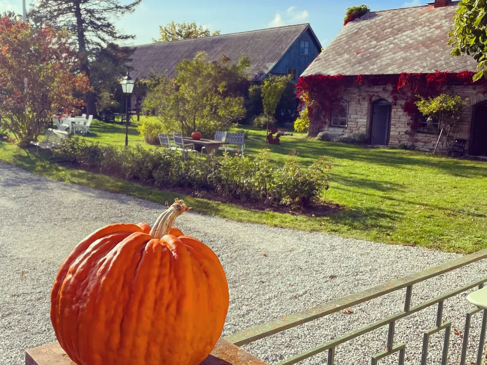 Oktoberfest på Gästis
