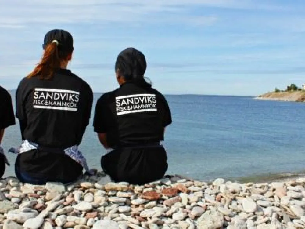 sea-sandvikred.-565x290.jpg