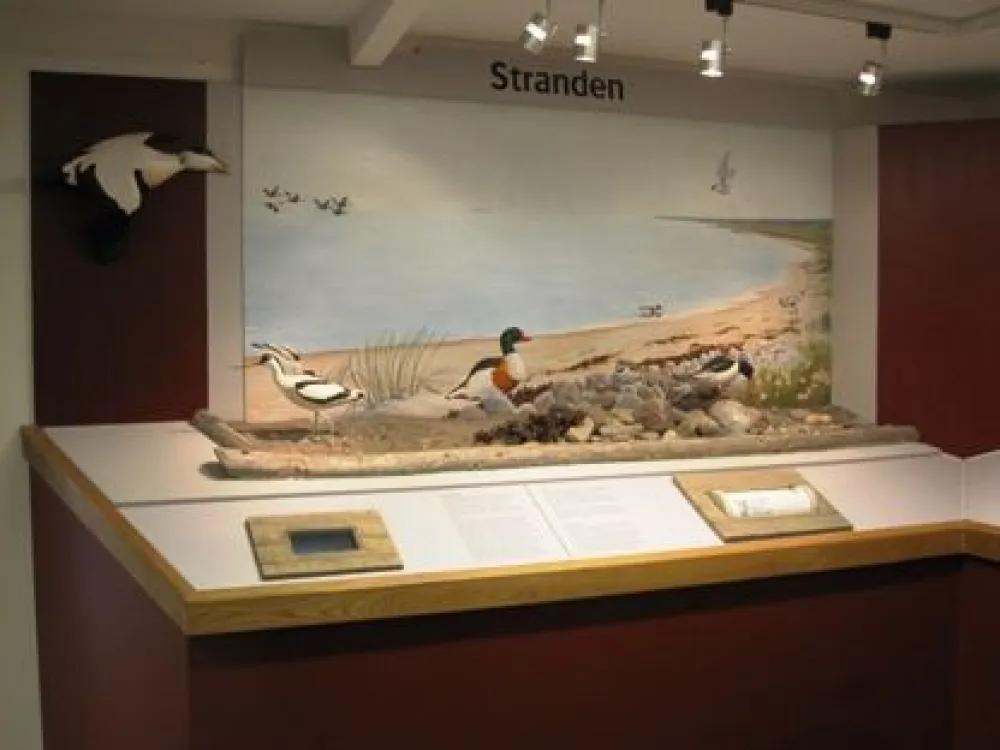 Naturpunkten Ölands Turistbyrå.jpg