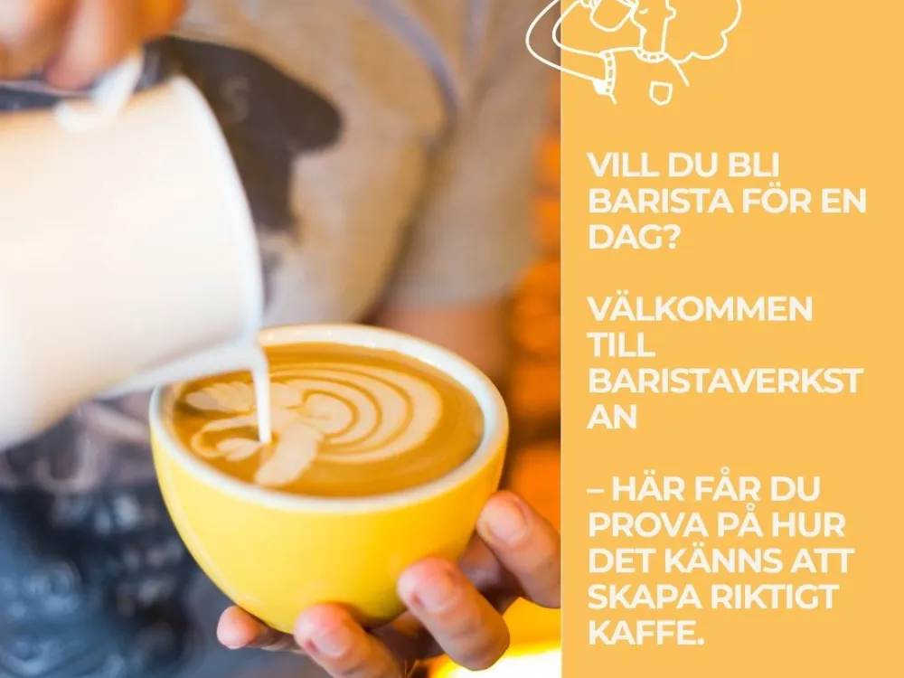 Baristakurs