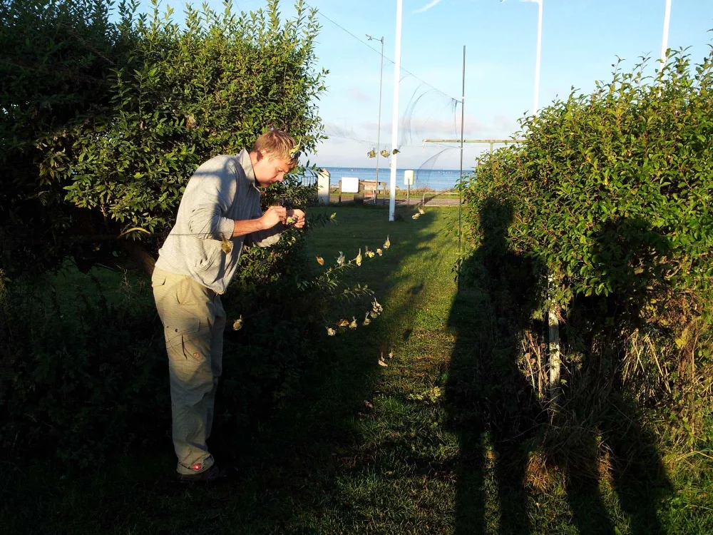 Ottenby bird station