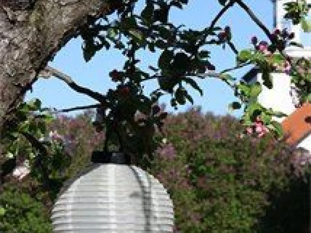 Bring Garden