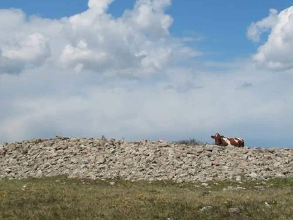 Triberga Fortress