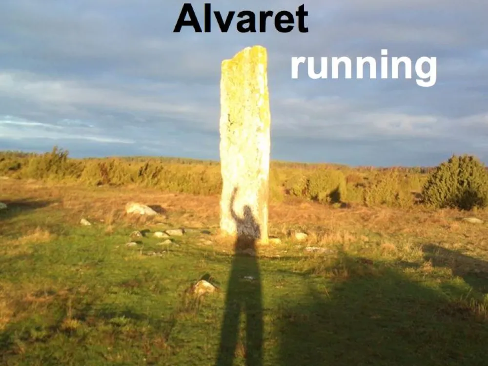 Alvaret running