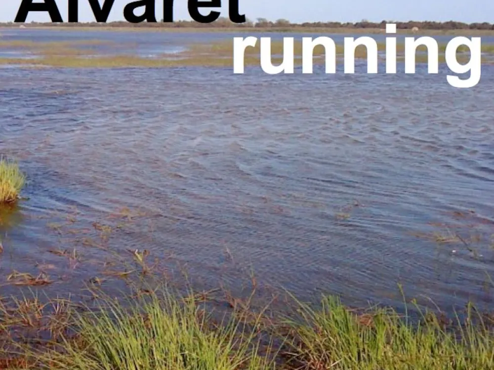 Alvaret running