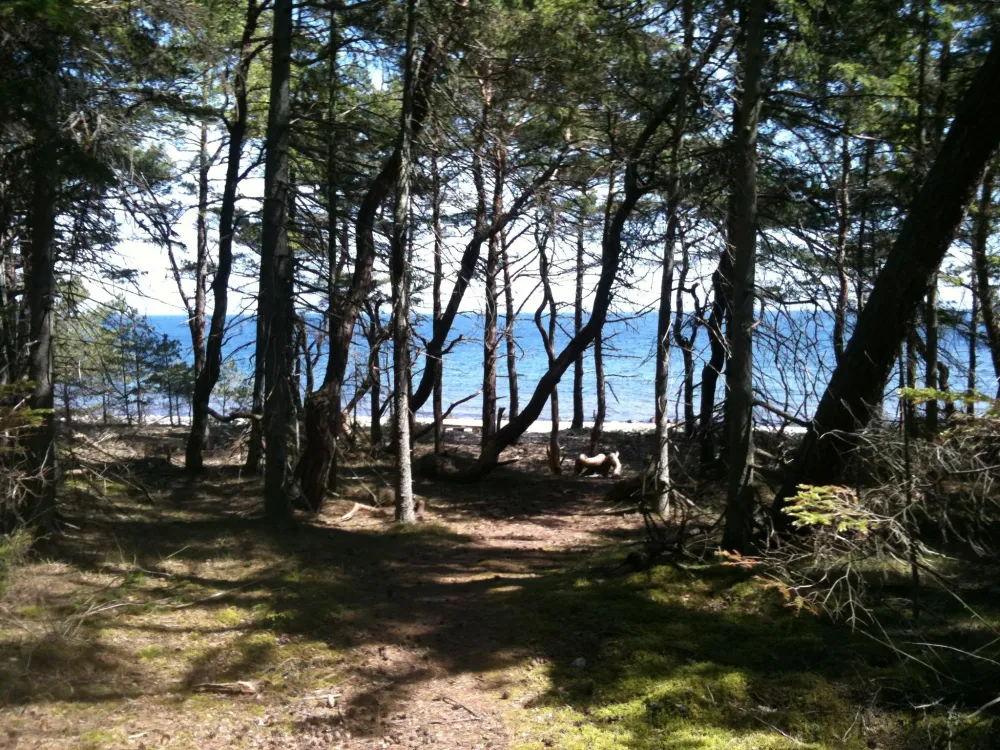 Ecopark Böda