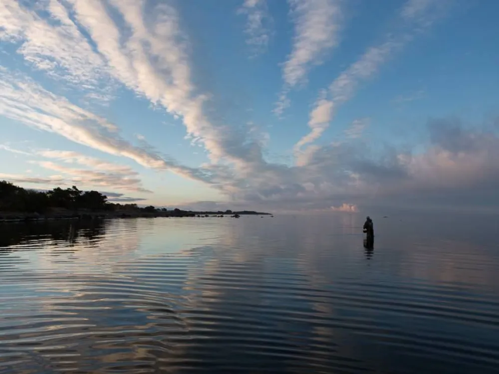 Sea Trout Adventures