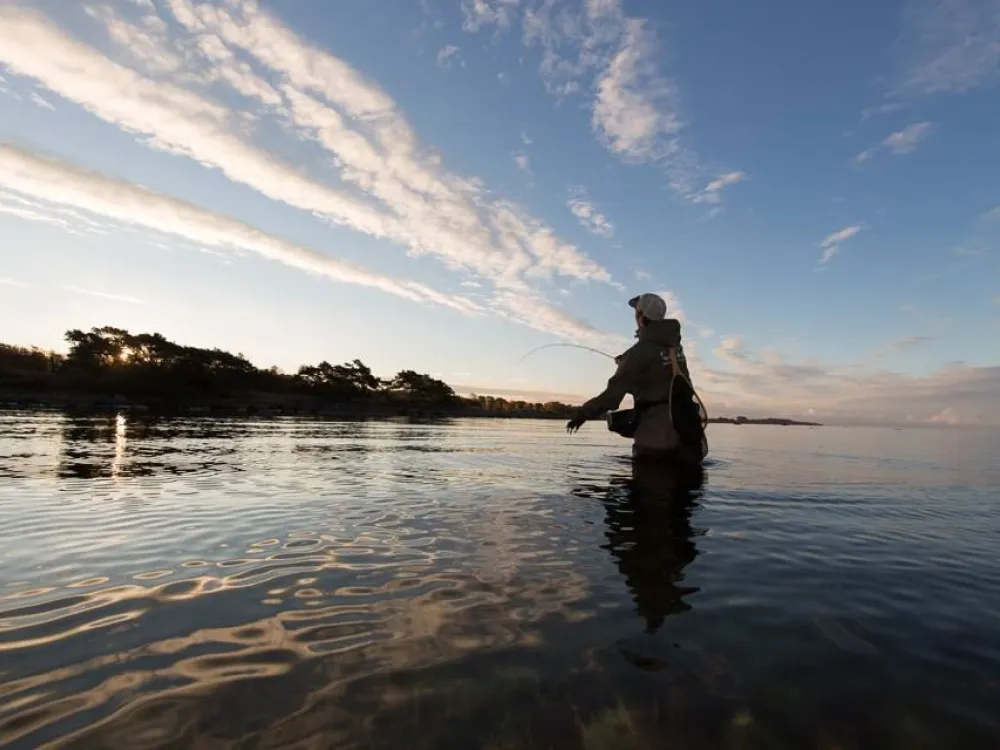 Sea Trout Adventures
