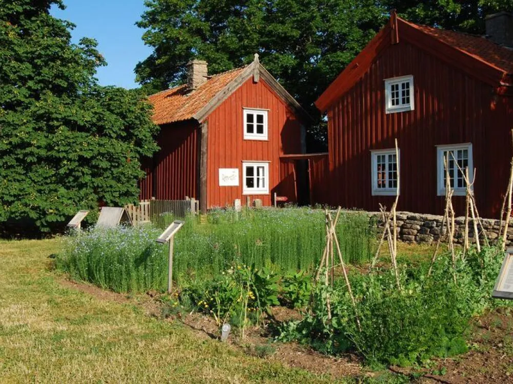Kaffestugan på Himmelsberga