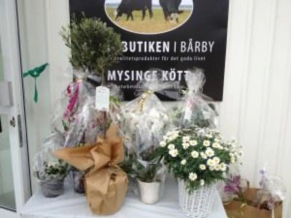 Ölands Kvalitetsprodukter - Mysinge Kött Gårdsbutik