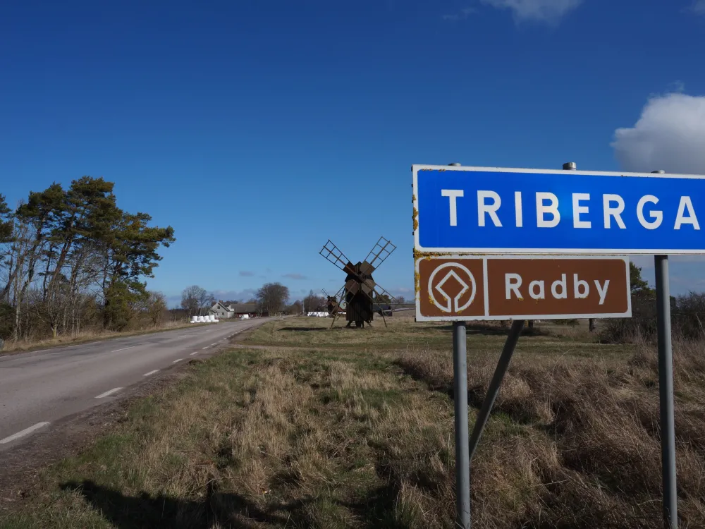 Triberga