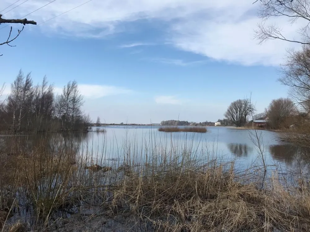 Triberga-Alby bog