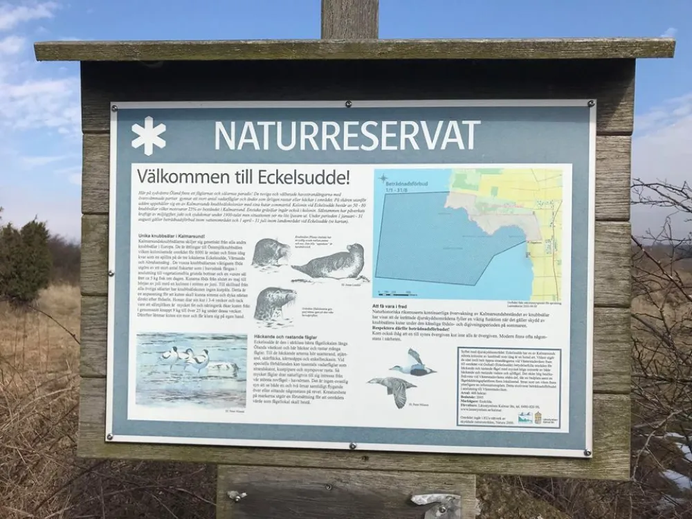 Eckelsudde