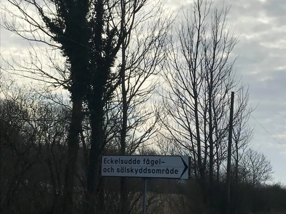 Eckelsudde
