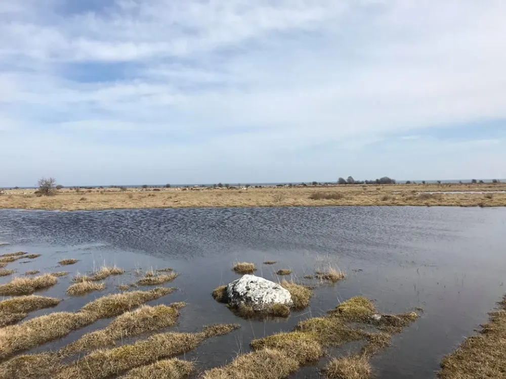 Gammalsby lake lands