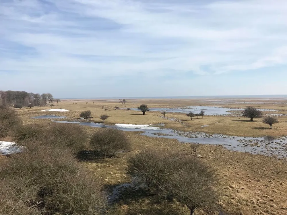 Ottenby grove - Södra Lundtornet