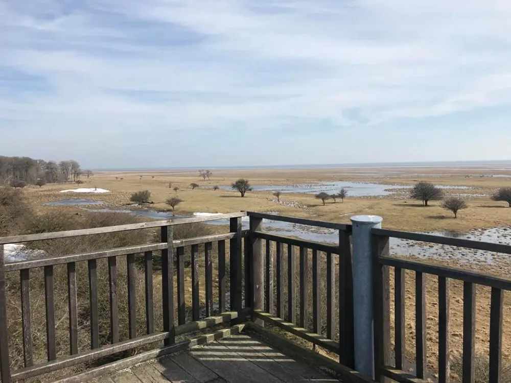 Ottenby grove - Södra Lundtornet