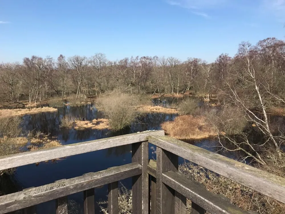 Ottenby grove - Södra Lundtornet