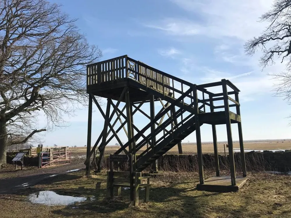 Ottenby grove - Norra Lund tower