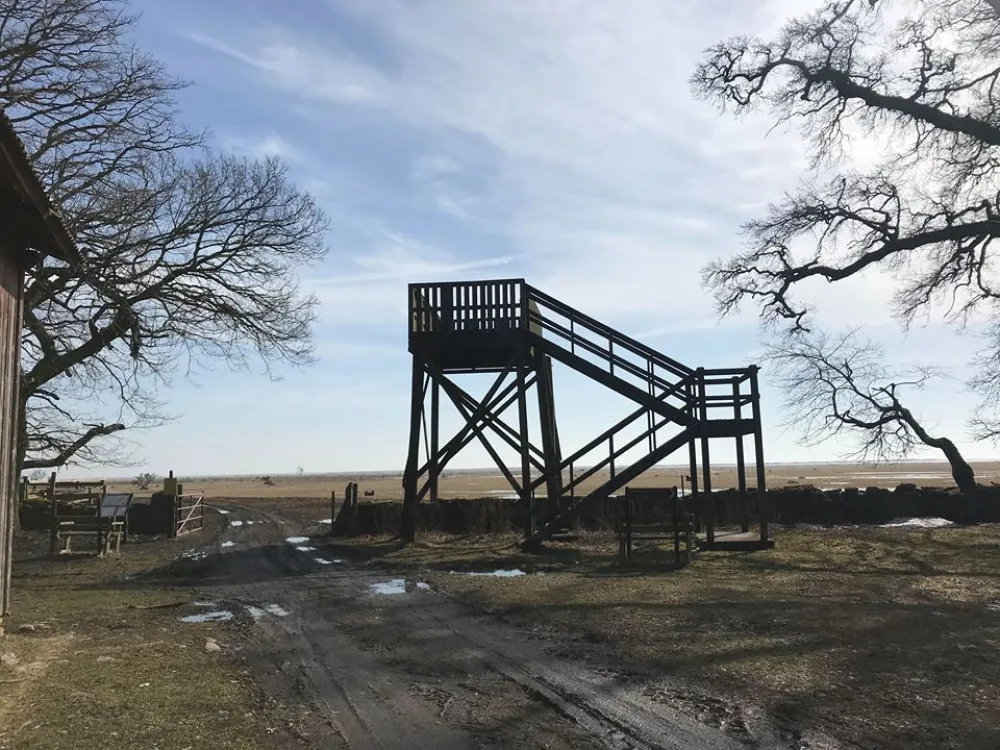 Ottenby grove - Norra Lund tower