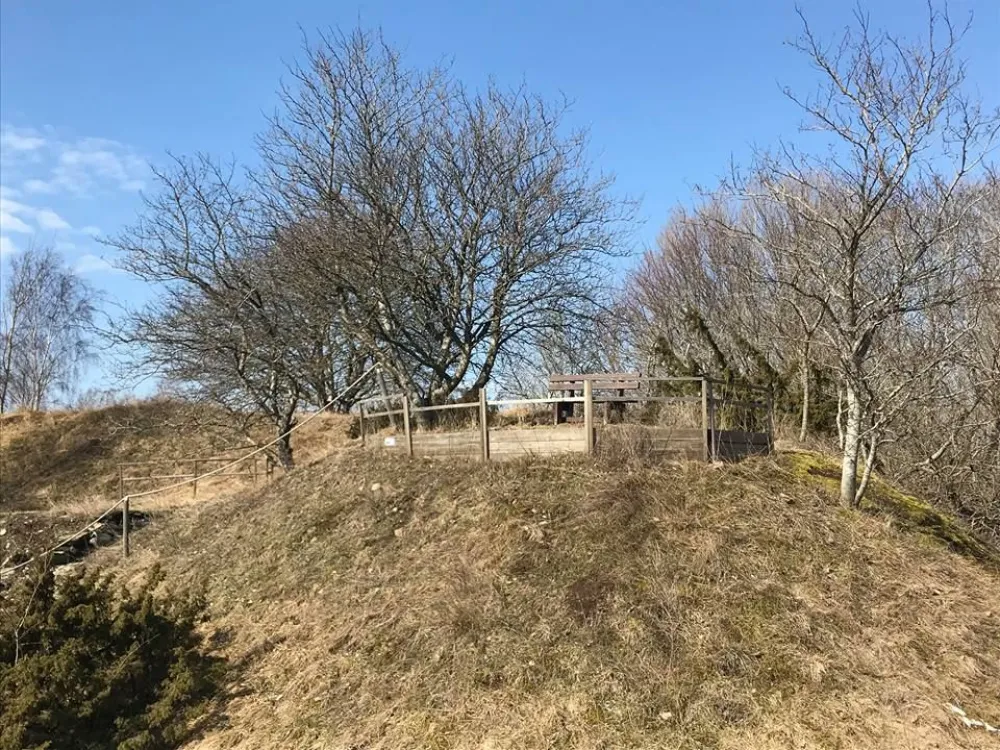 Fågelsjön 