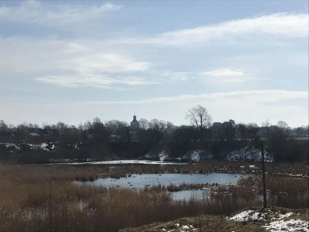 Fågelsjön 