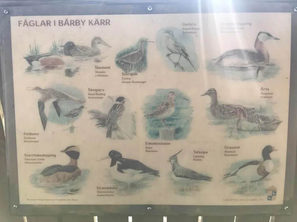 Das Bårby-Sumpfgebiet