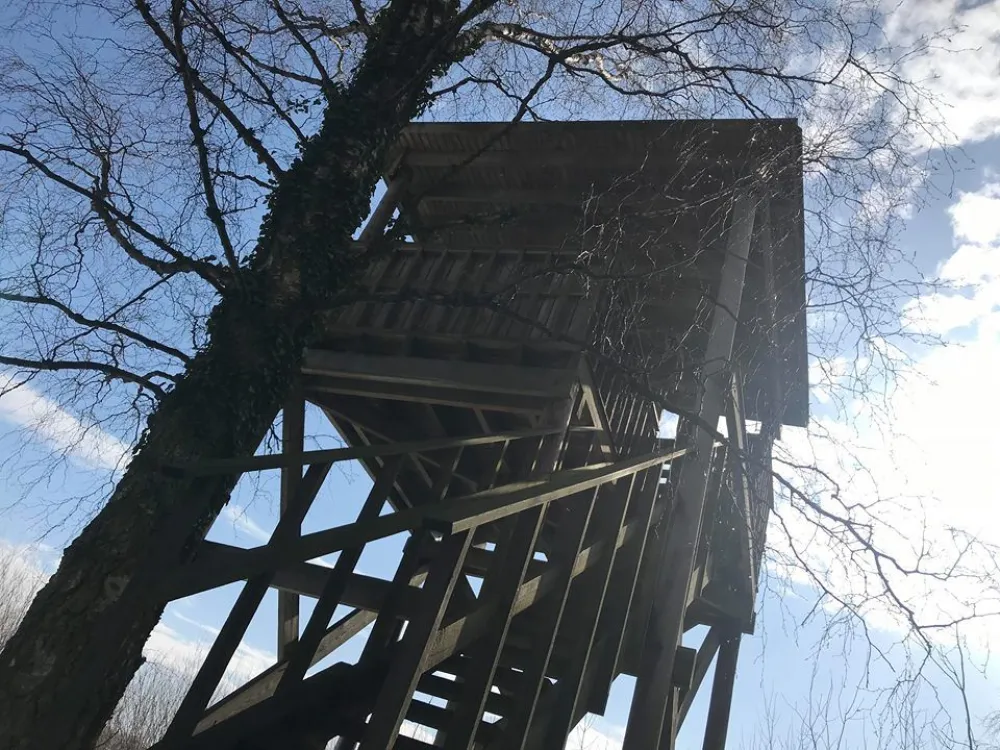 Das Bårby-Sumpfgebiet