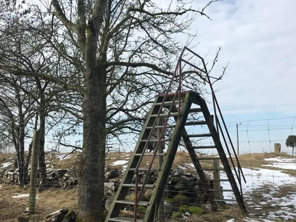 Das Bårby-Sumpfgebiet