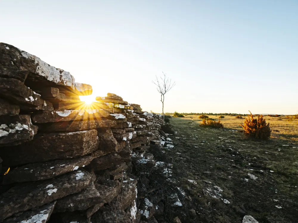World Heritage - southern Öland's agricultural landscape