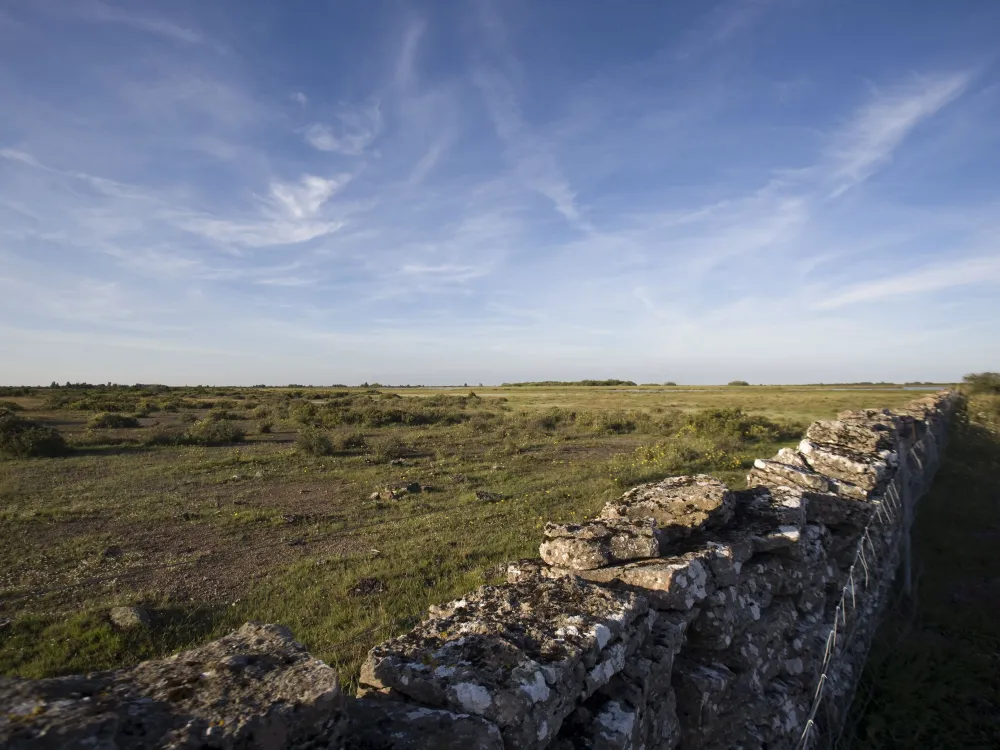 Tagesausflug – Lernen Sie die Natur, Kultur und Geschichte Ölands kennen