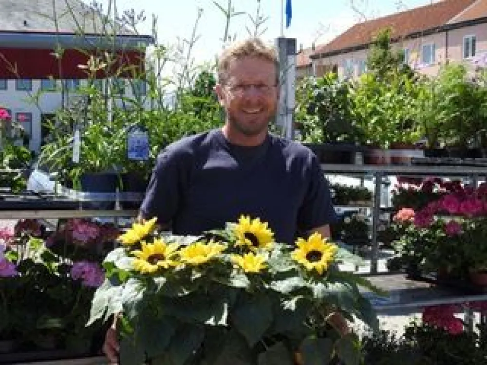 Bomans Torghandel 